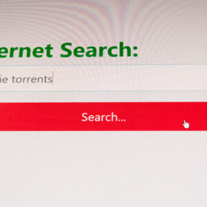 Screenshot of an internet search - copyright infringement lawsuit